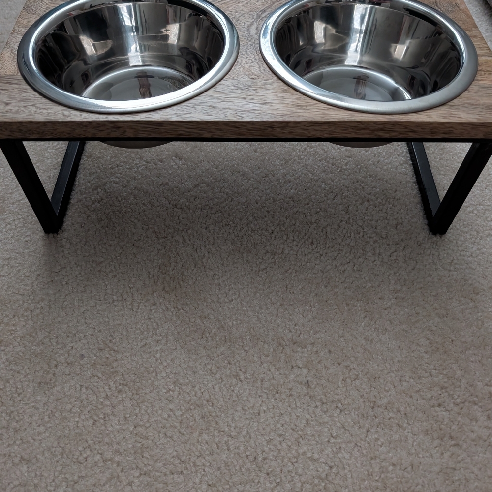 Stainless Steel Modern Pet Bowl Set with Stand Medium Size